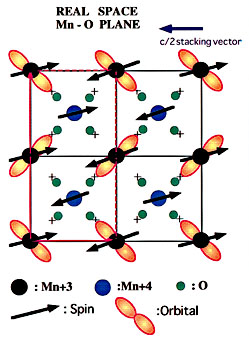 p6_2.jpg (38974 oCg)